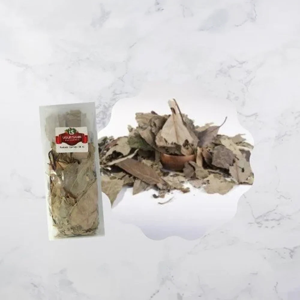 Avokado Yaprağı 25 Gr.Paket