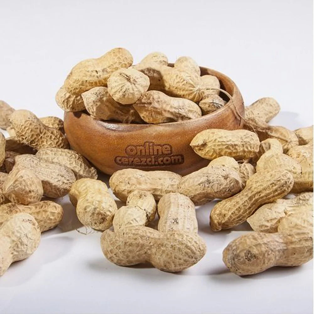 Çiğ Kabuklu Fıstık