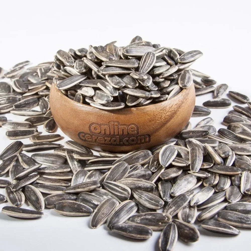 Tuzsuz Dakota Çekirdek